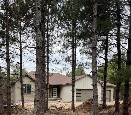 Trees Front of House.jpeg