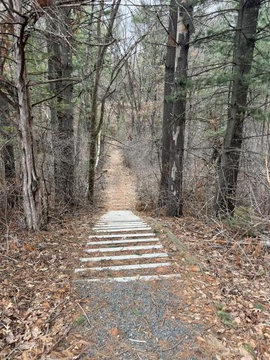 Pinecliff Trail.jpeg