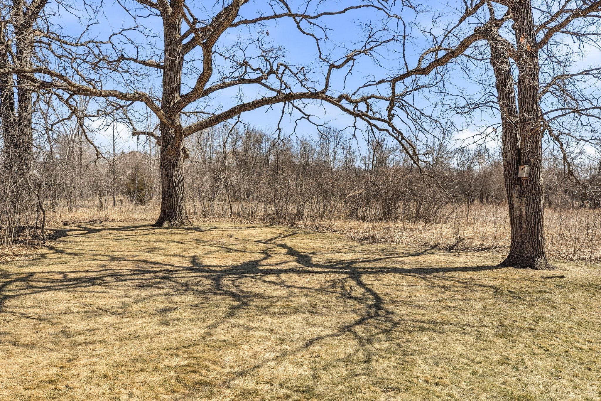 Another perspective of the backyard, highlighting the tranquil natural surroundings.