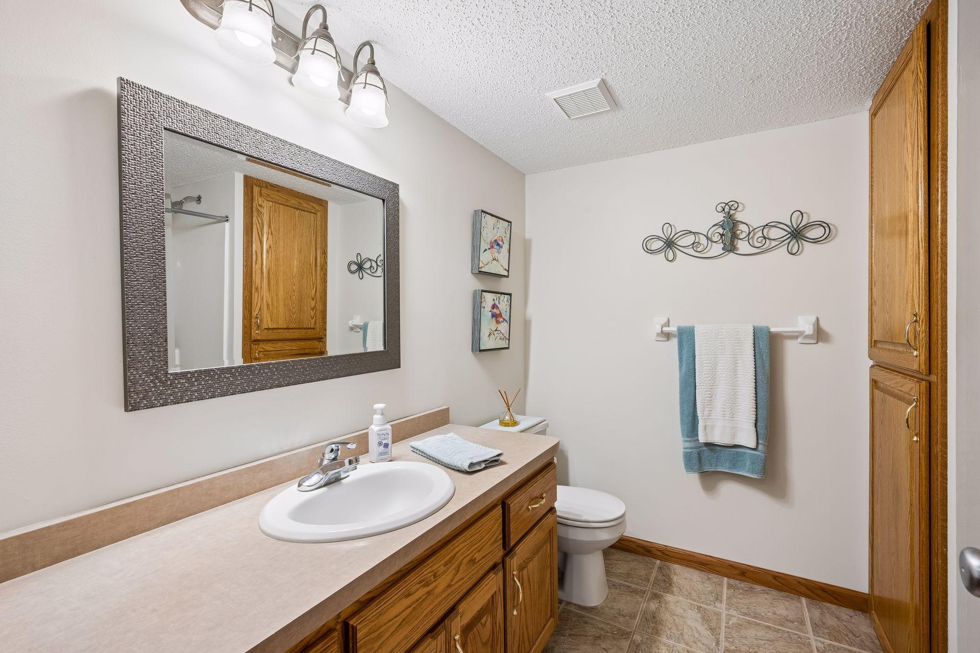 Lower level full bath