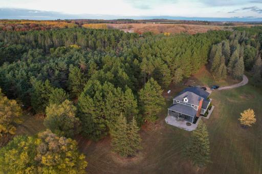 Expansive wooded lot with endless potential for a shop, trails, or outdoor entertaining spaces.