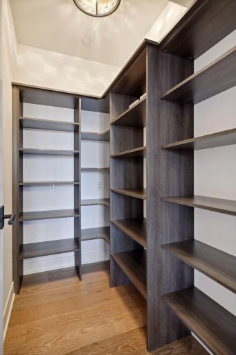 Kitchen space includes a walk-in pantry with built-in organizational components