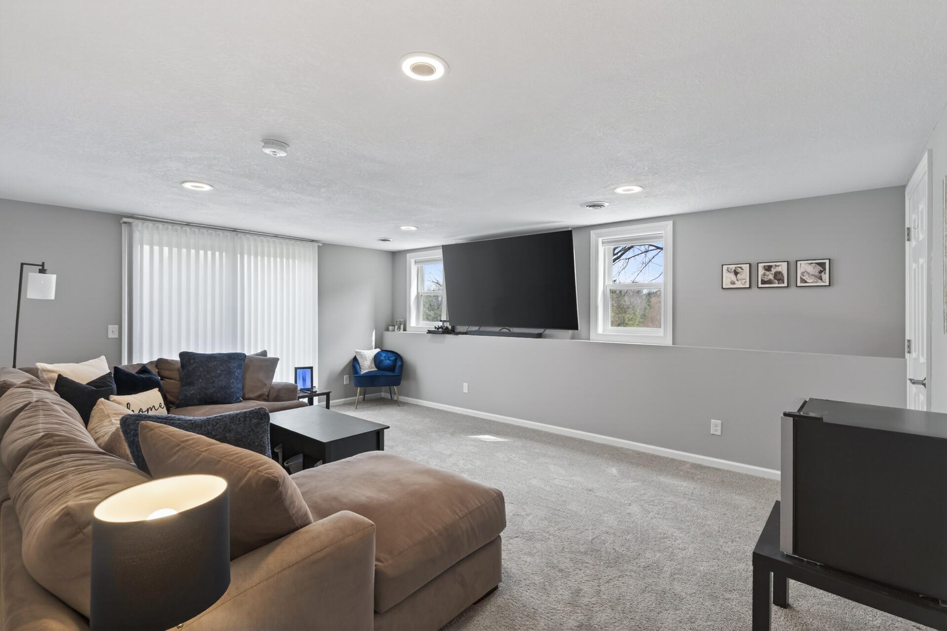 Lower level family room with walkout to patio and back yard space