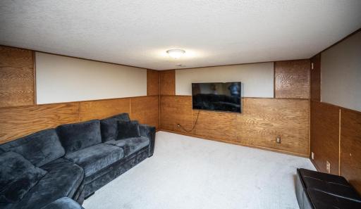 The lower level family room is large enough to be very versatile