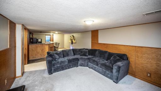 The large lower level family room includes a wet bar