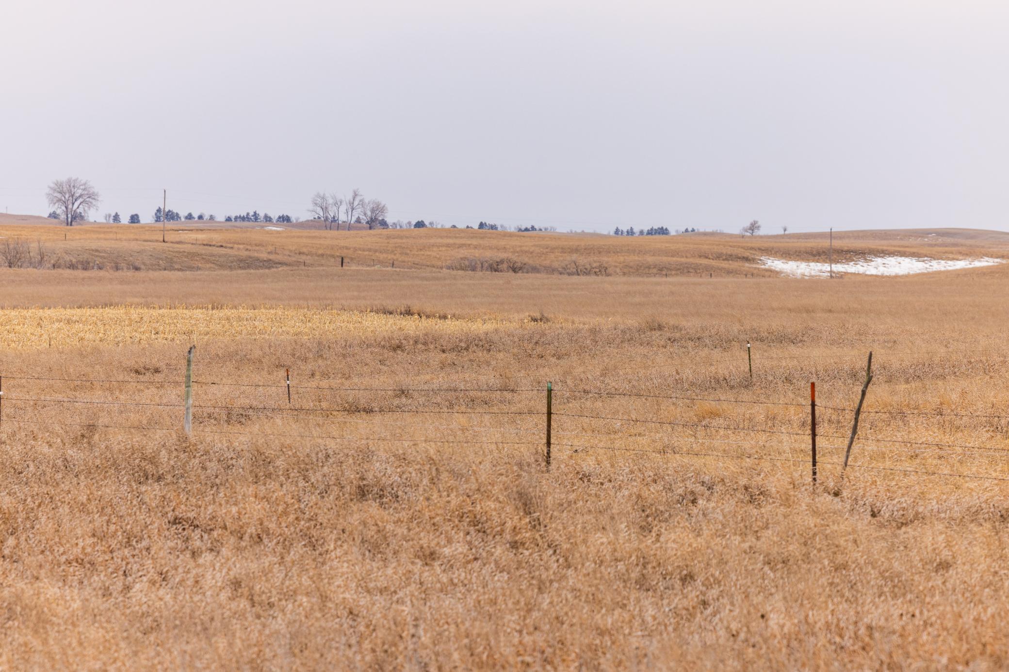 Amdak__Turtle Lake_0069.jpg