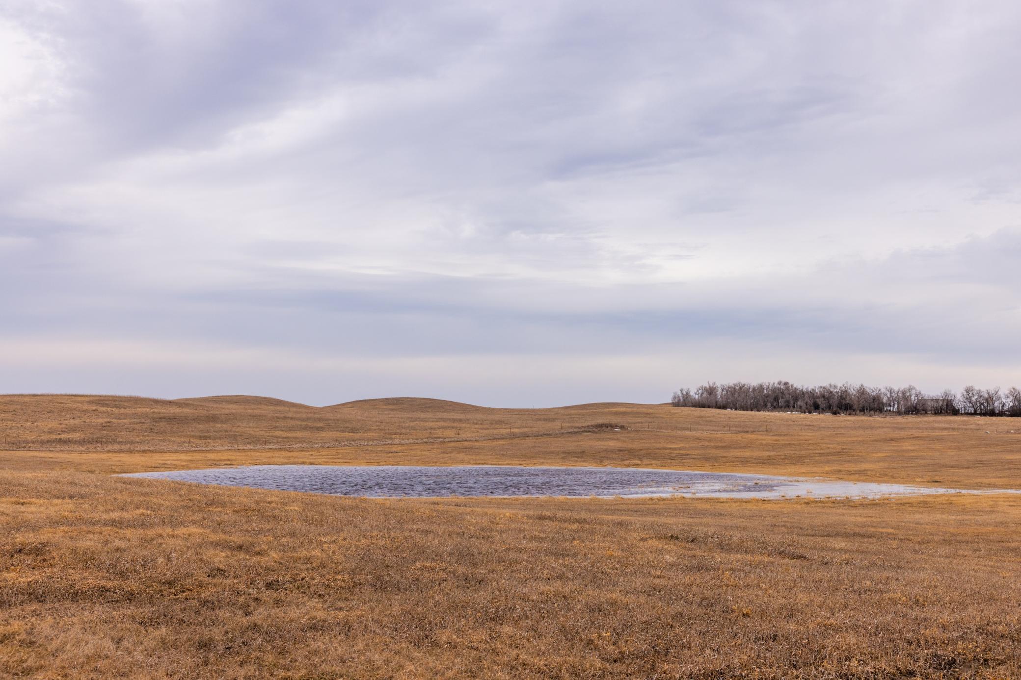 Amdak__Turtle Lake_0085.jpg