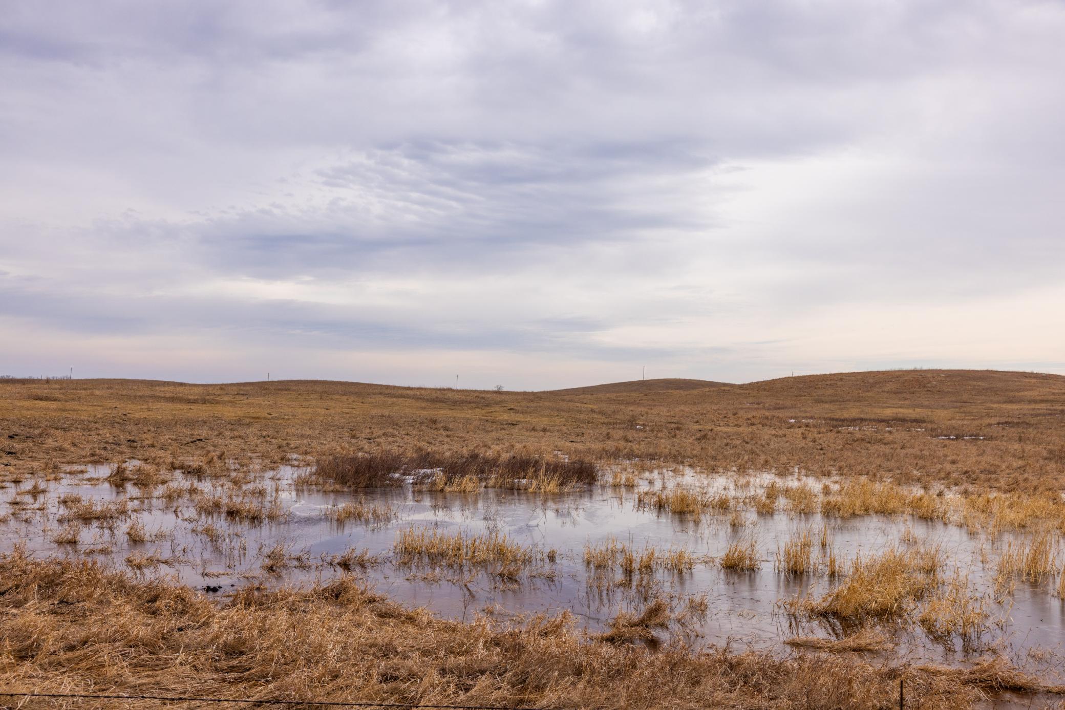 Amdak__Turtle Lake_0074.jpg