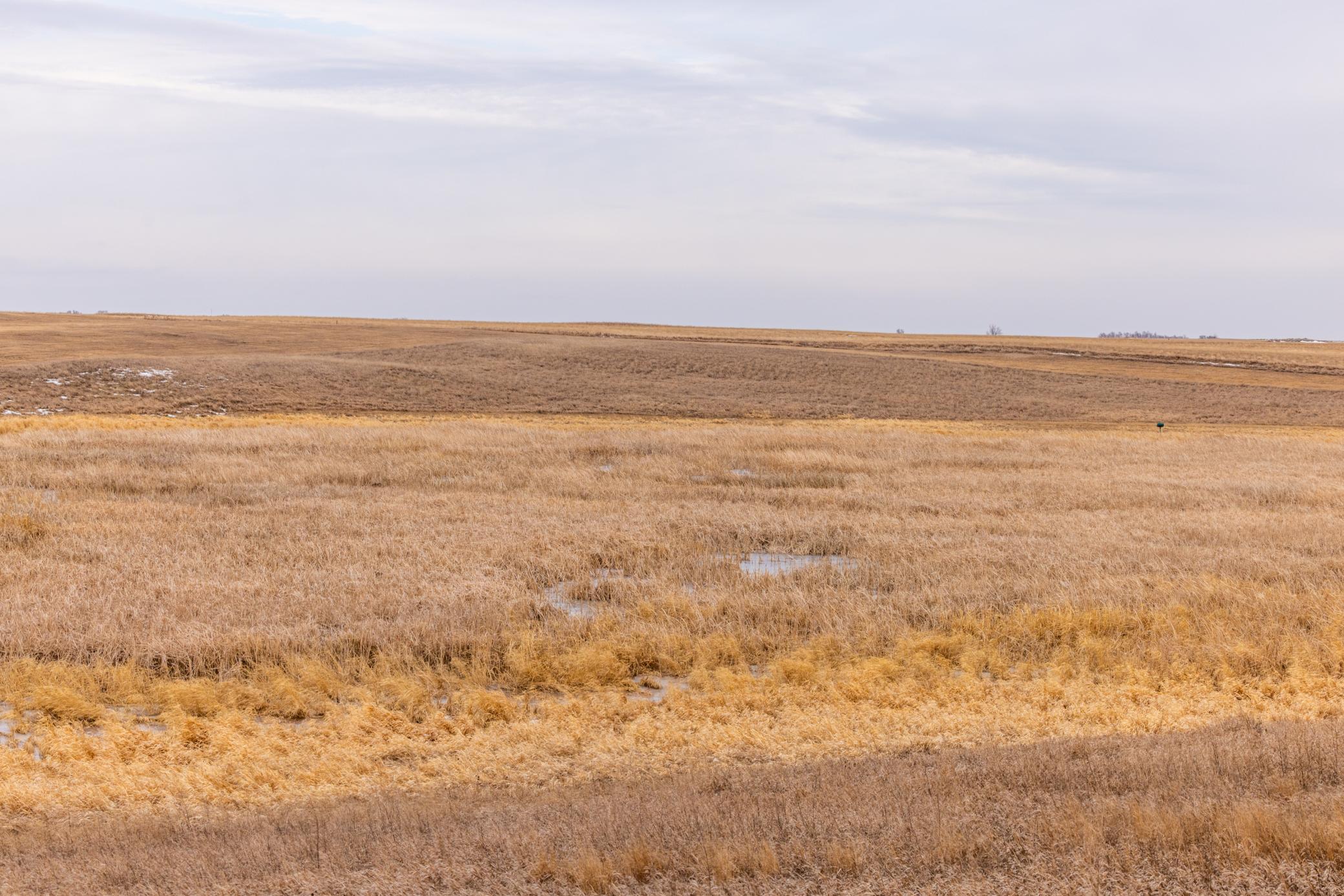 Amdak__Turtle Lake_0047.jpg