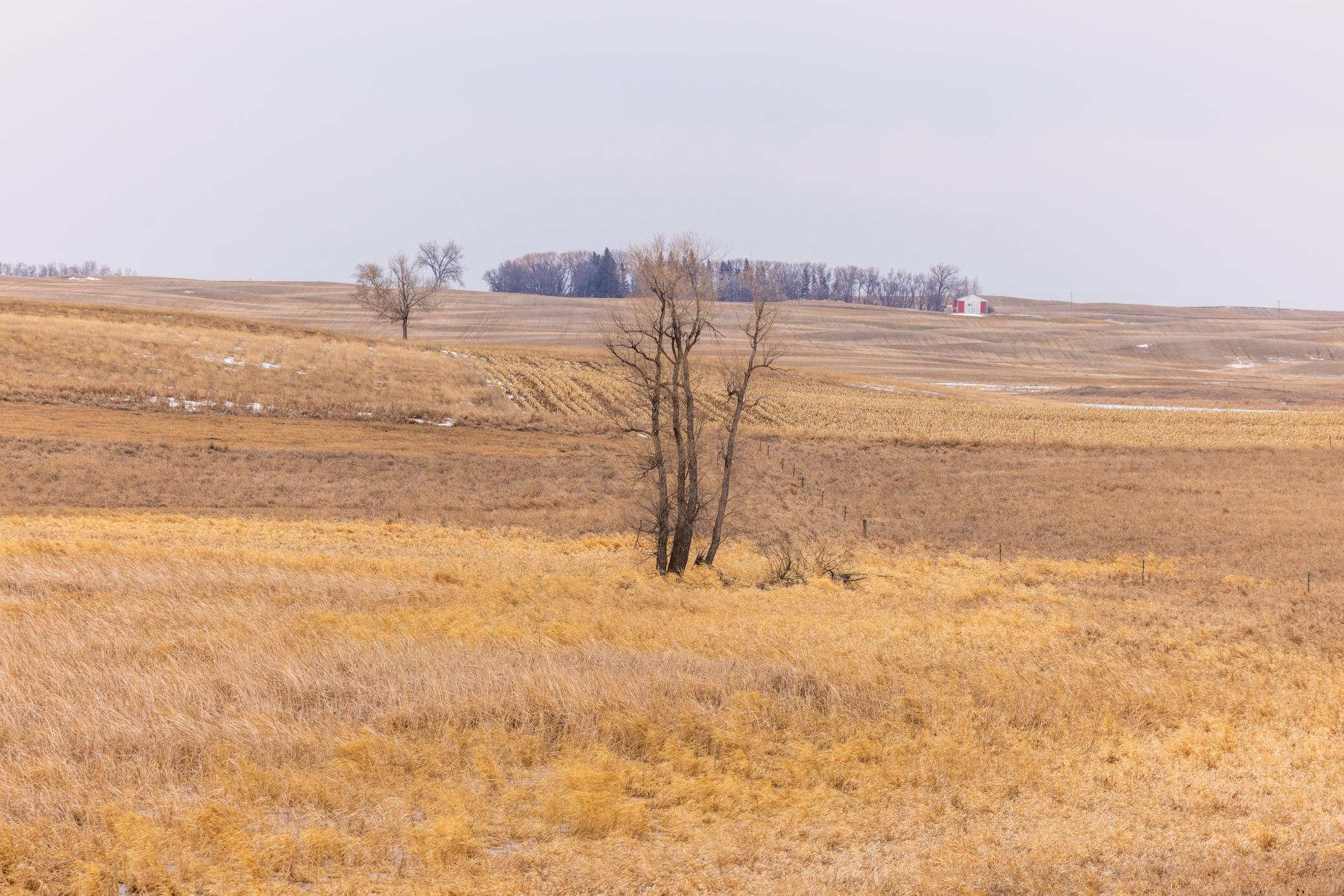 Amdak__Turtle Lake_0051.jpg