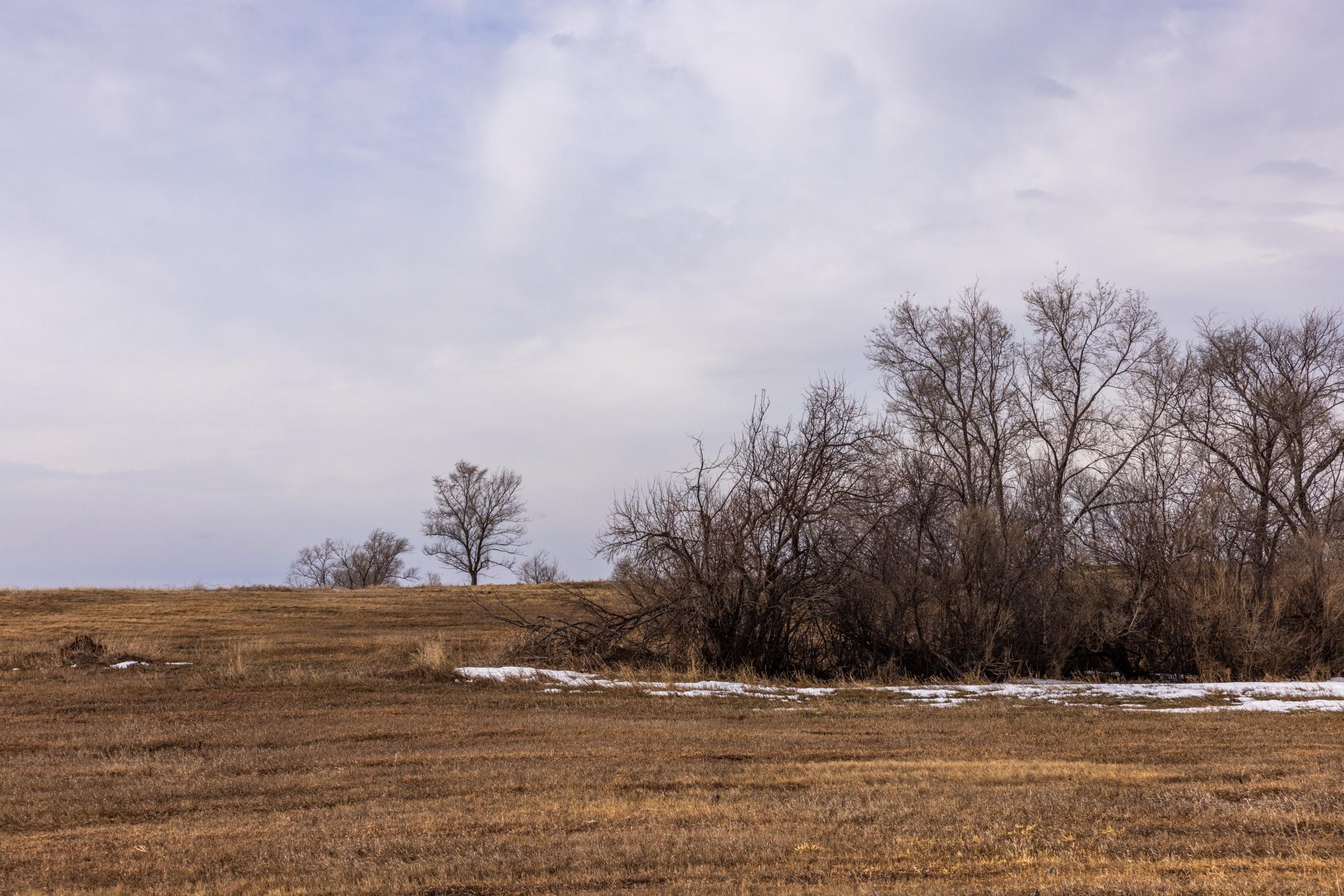 Amdak__Turtle Lake_0117.jpg