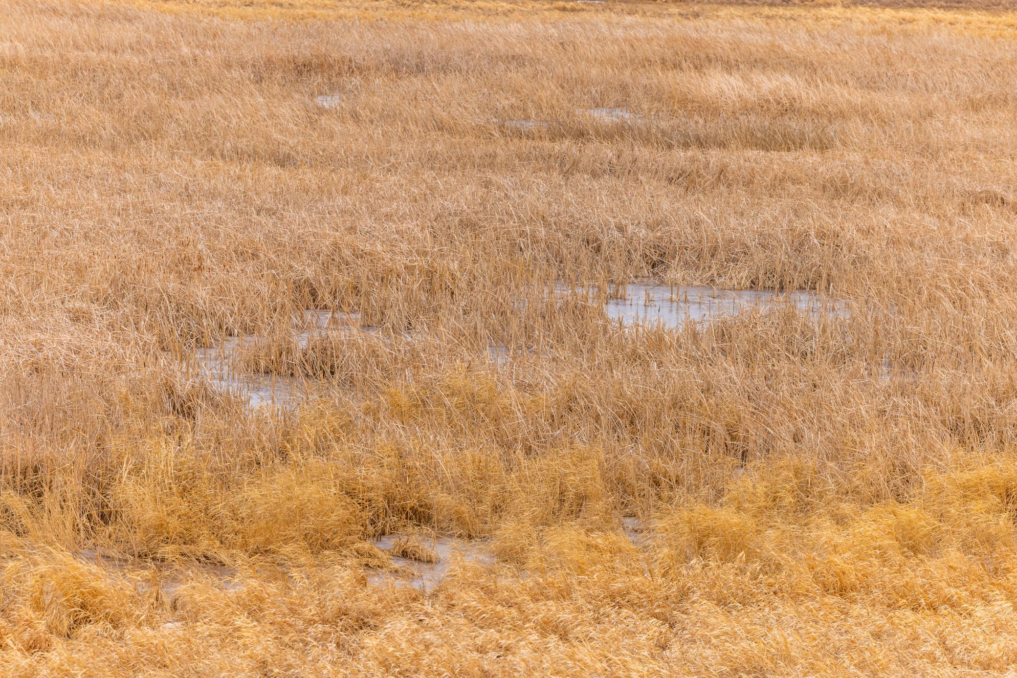 Amdak__Turtle Lake_0048.jpg