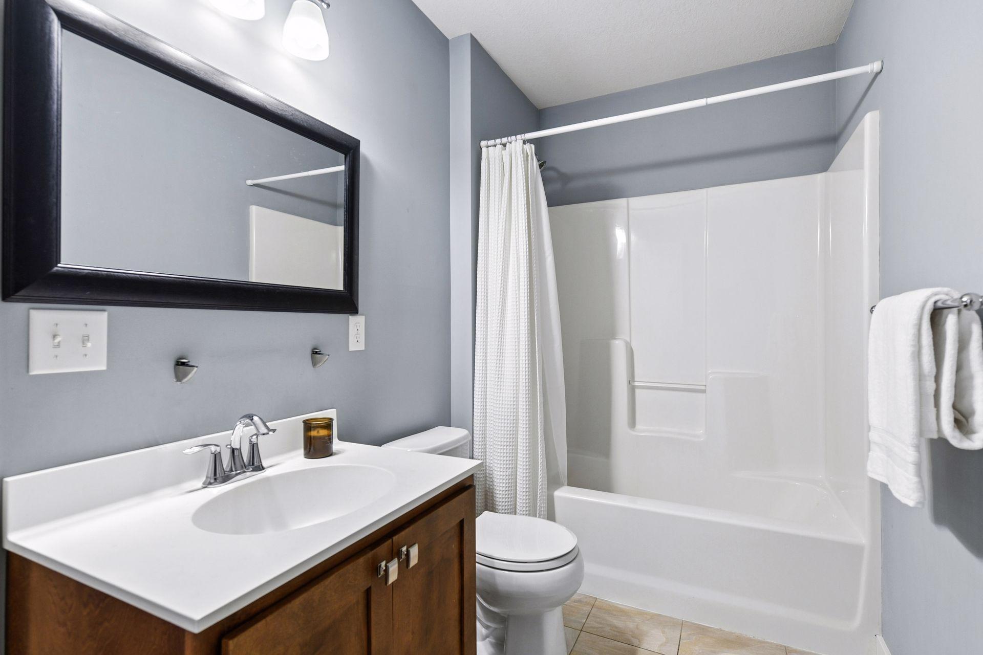 Full lower level bathroom