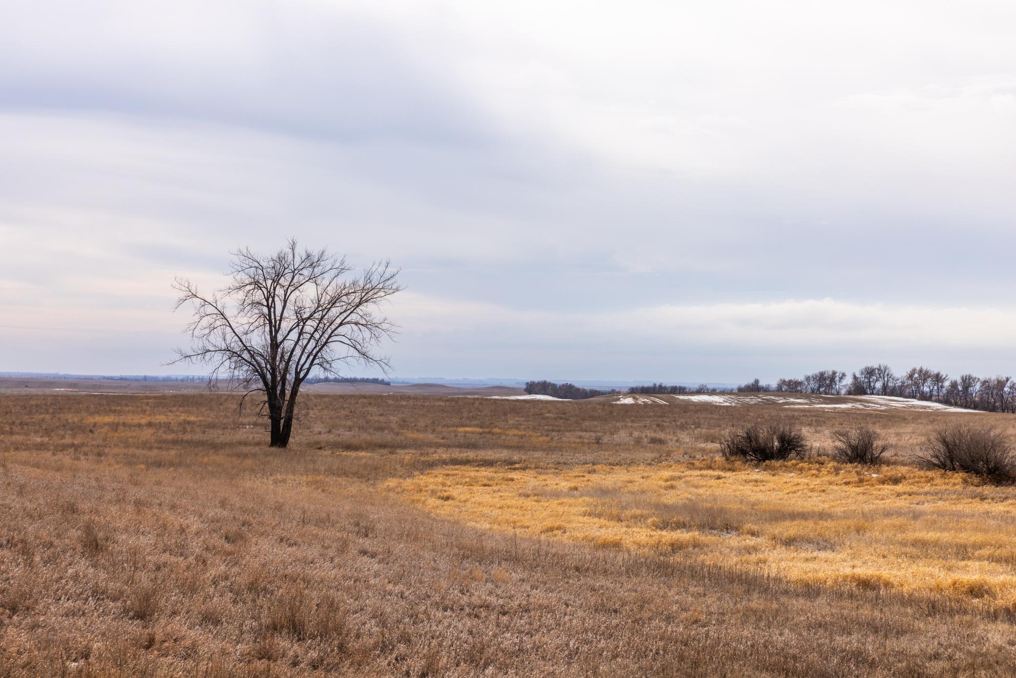 Amdak__Turtle Lake_0126.jpg