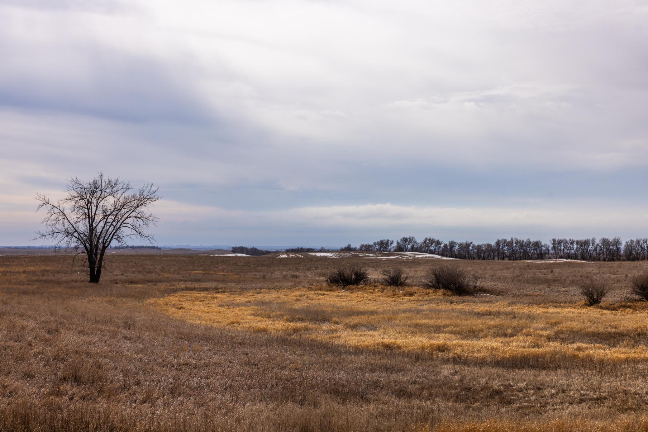 Amdak__Turtle Lake_0127.jpg