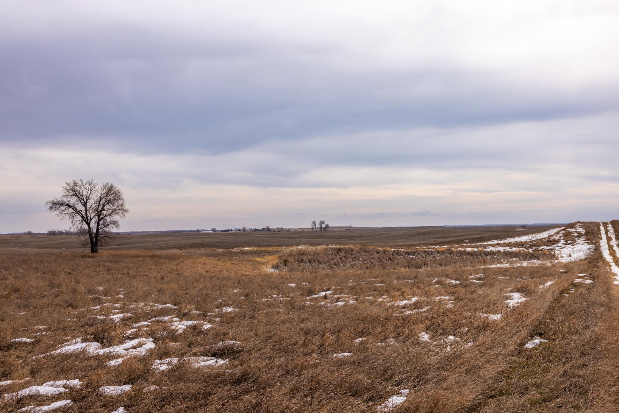 Amdak__Turtle Lake_0136.jpg