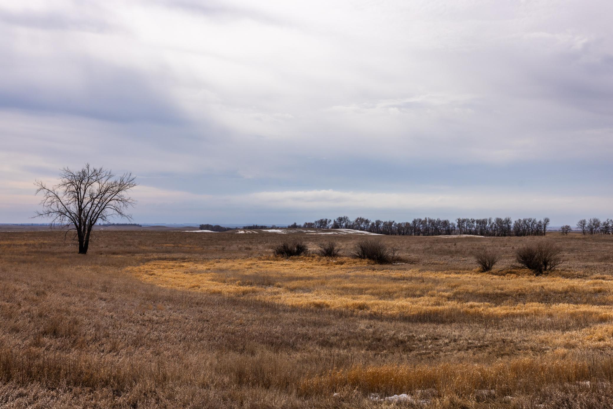 Amdak__Turtle Lake_0128.jpg