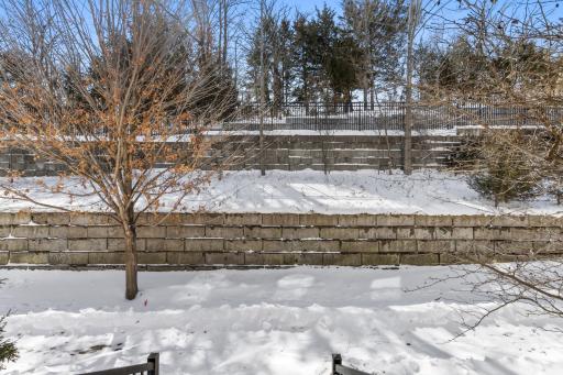 A tree-lined wall of privacy sits just outside your front door where the association property abuts Dean Lakes park.