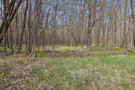 316 Wennerberg Shore Drive - Beautiful wooded lot with tons of potential!