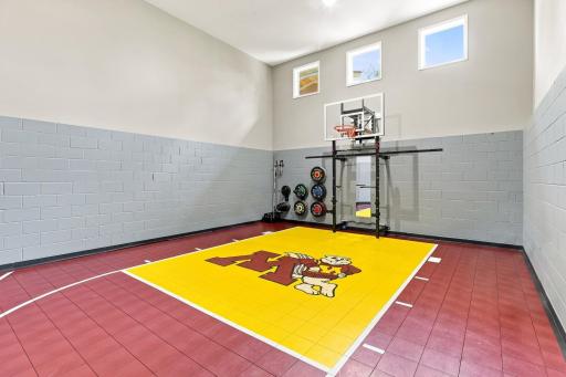Amazing Sport Court!