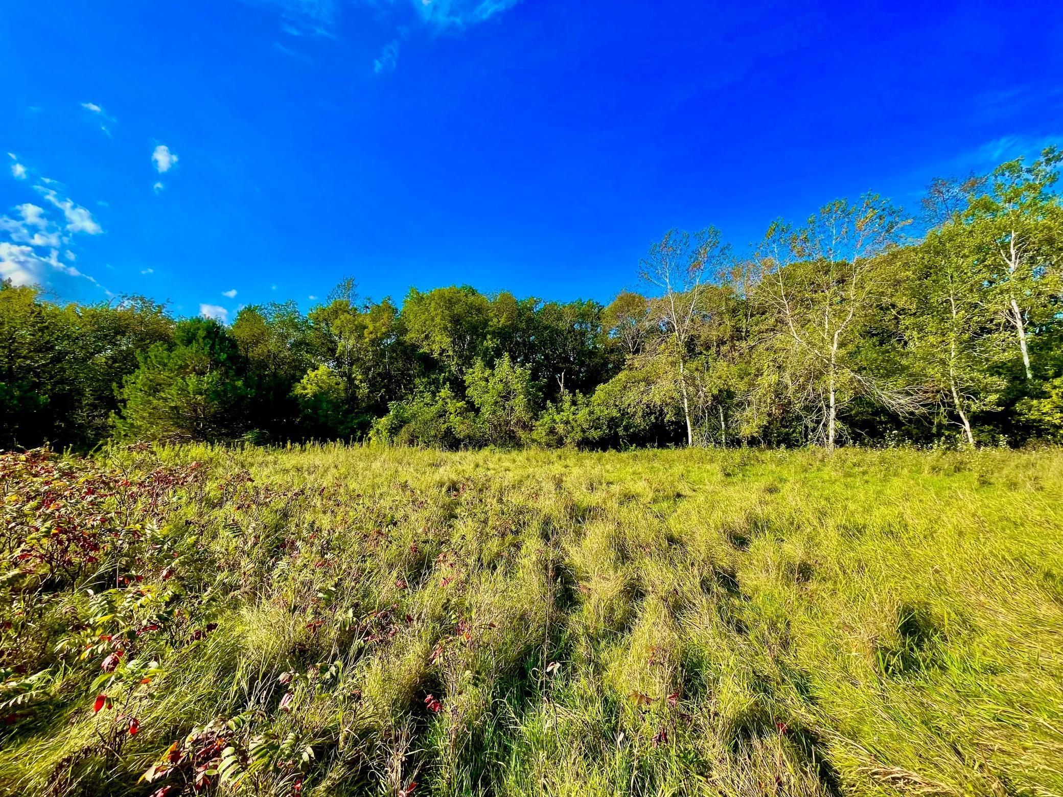 Rolling landscape blending open space and wooded privacy — minutes from River Falls, Hudson, and Prescott.