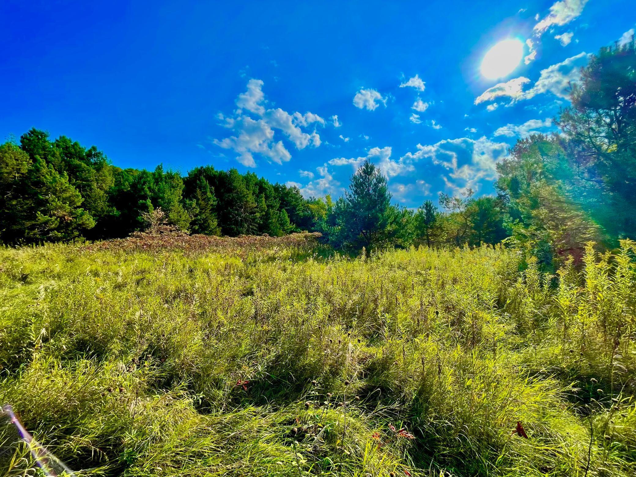 Beautiful meadow bathed in afternoon sun, offering endless potential for recreation, building, or investment.