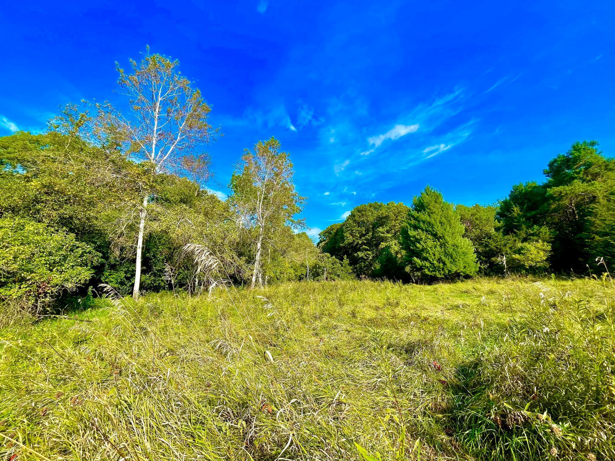Open field tucked against wooded privacy with gorgeous tree lines.