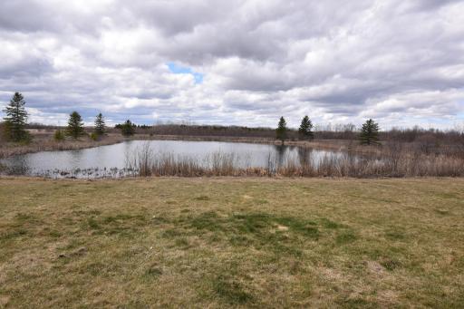 DSC_0011.JPG
