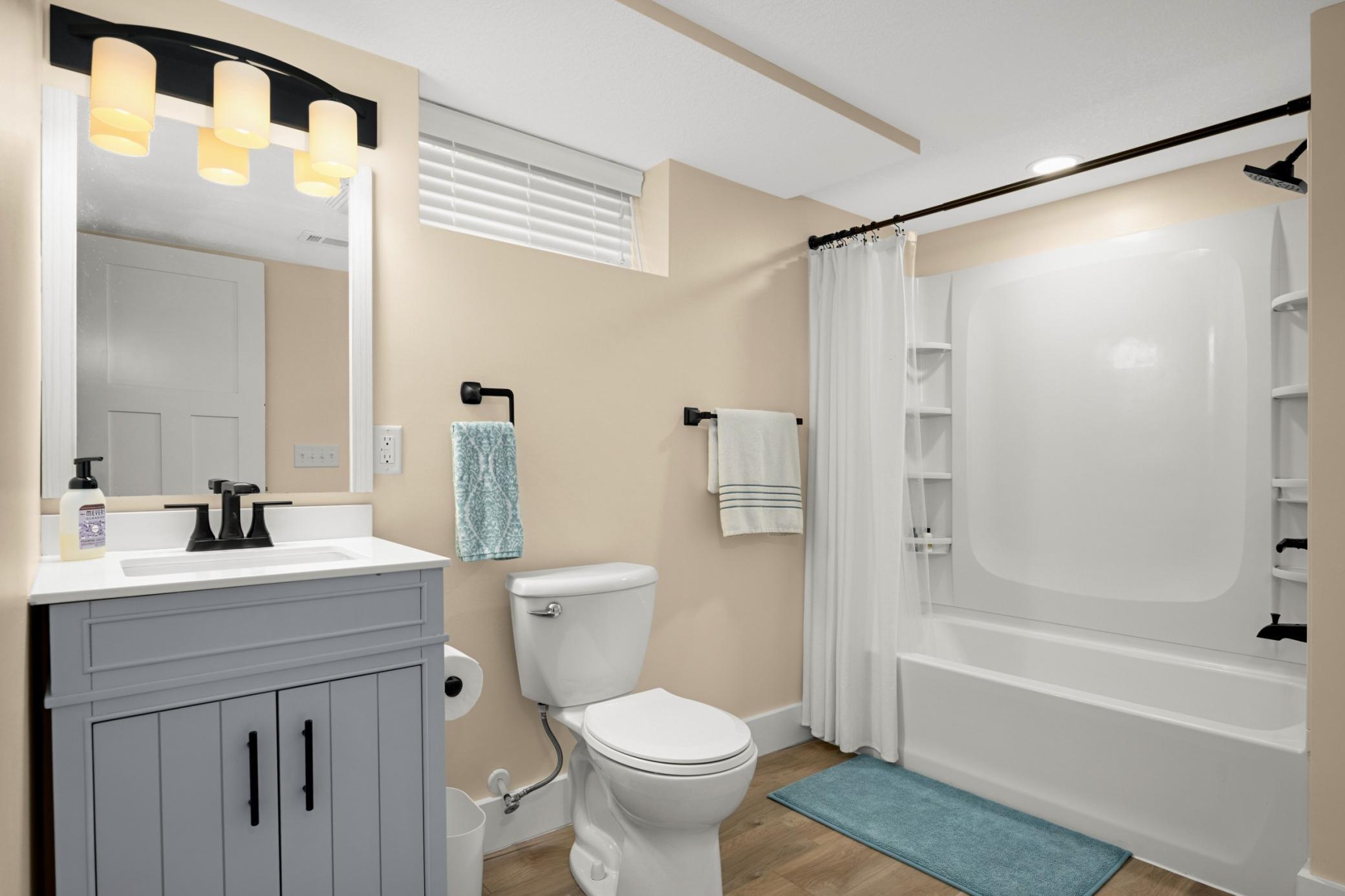 Lower level full bathroom