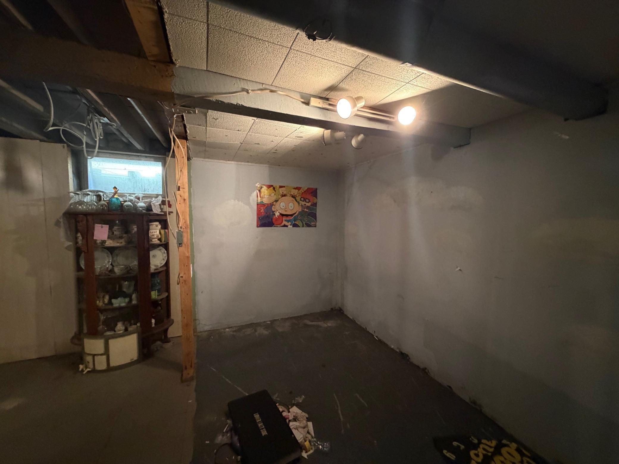 Basement 2.jpg