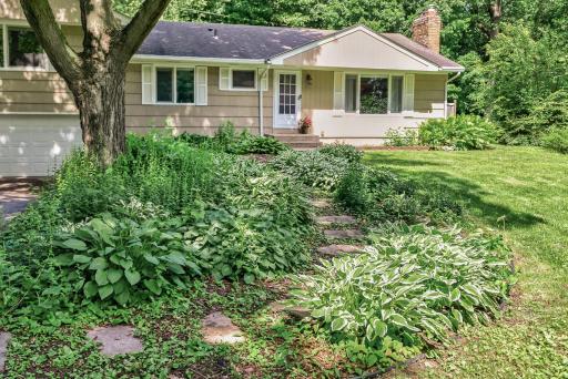 Paved stones leading through the garden oasis.