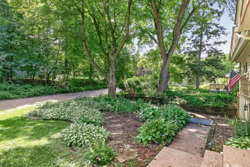 View of the hostas from front door.