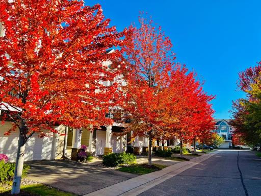 In the autumn, the street is lined with splendid maple trees, your entrance home eases you into a peaceful evening.