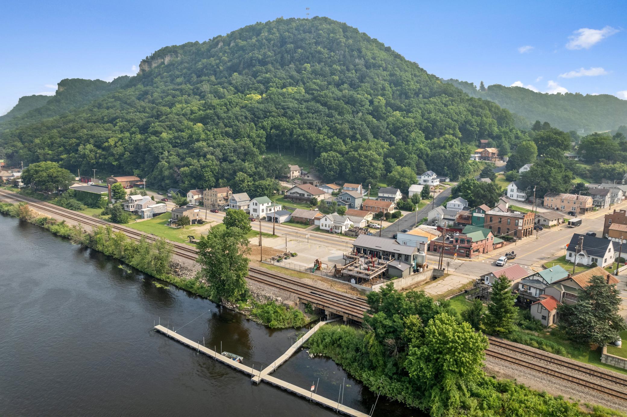 Photo Golden Frog - Sarah Hemker - Copy.jpg