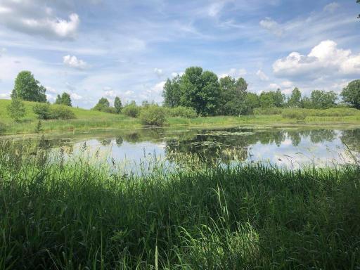 Photo for TBD Dixon Line Rd, Finlayson, MN 55735 - listing #7039552 TBD Dixon Line Rd, Finlayson, MN 55735