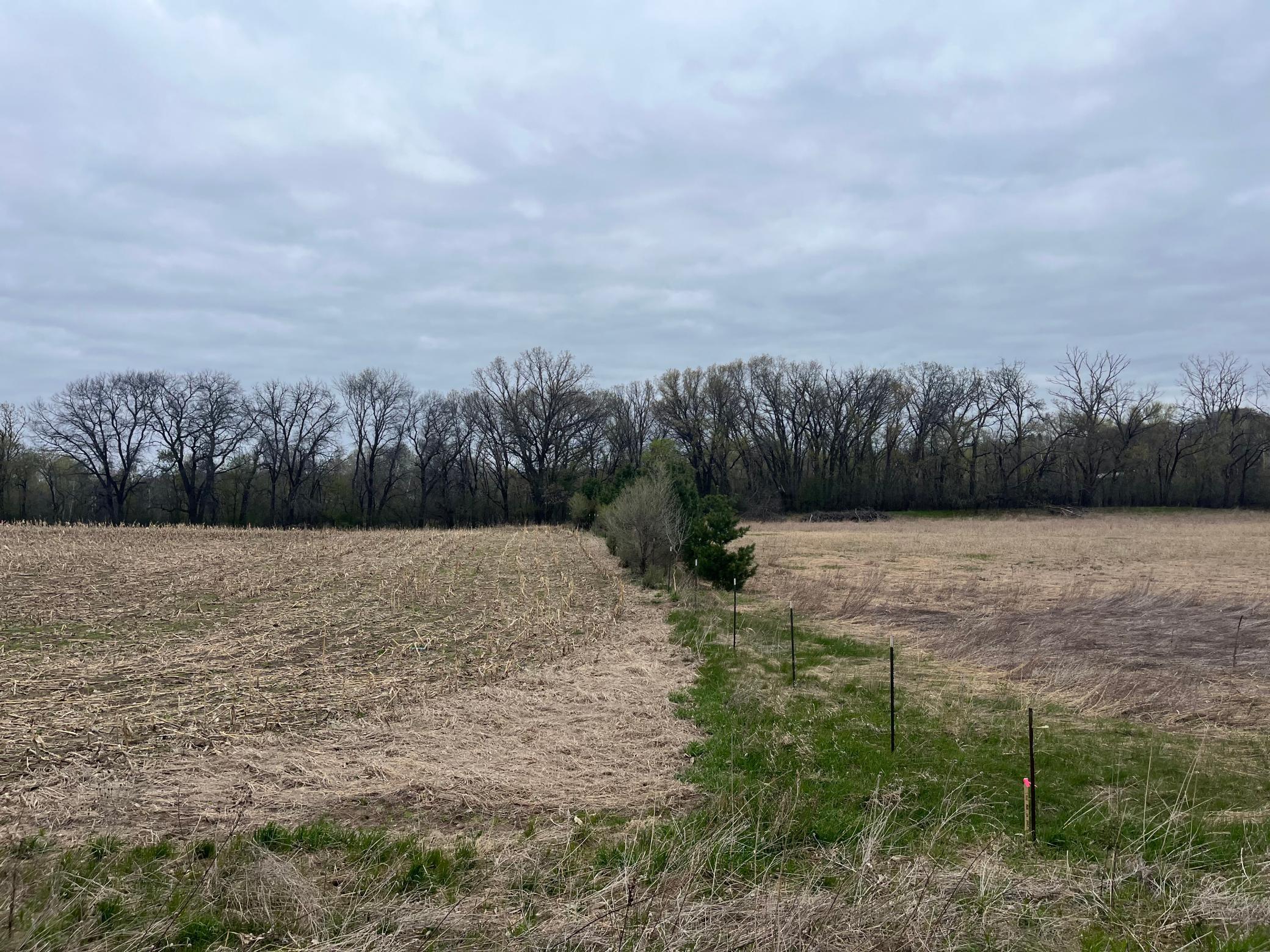 10+ acre parcel in Bradford Twp. with open and wooded space. Photo of East Property Line.jpeg
