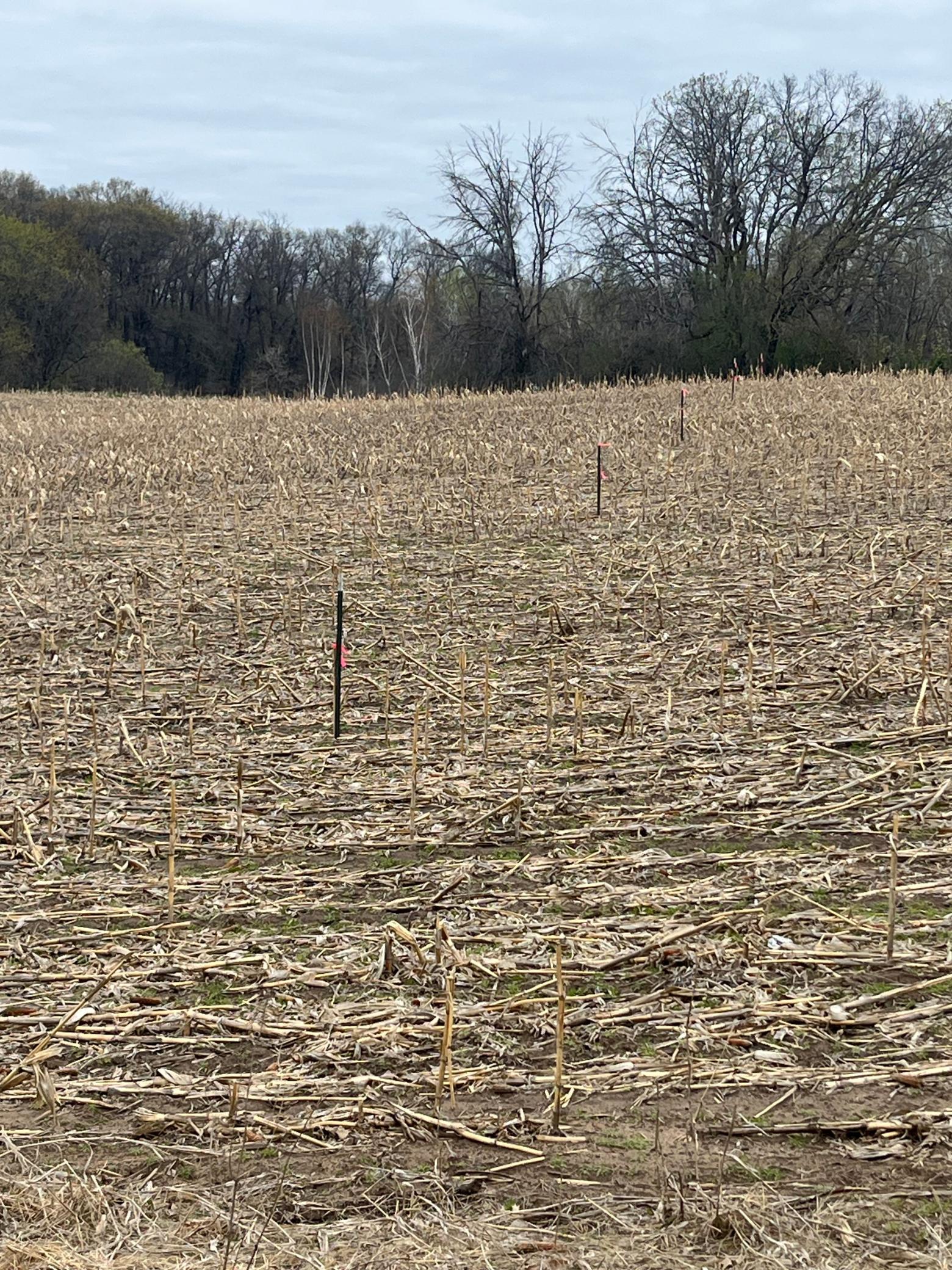 Acreage with long views and wildlife. Photo of West Property Line.jpeg