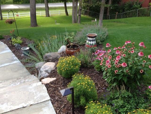 Summer plants along front walkway