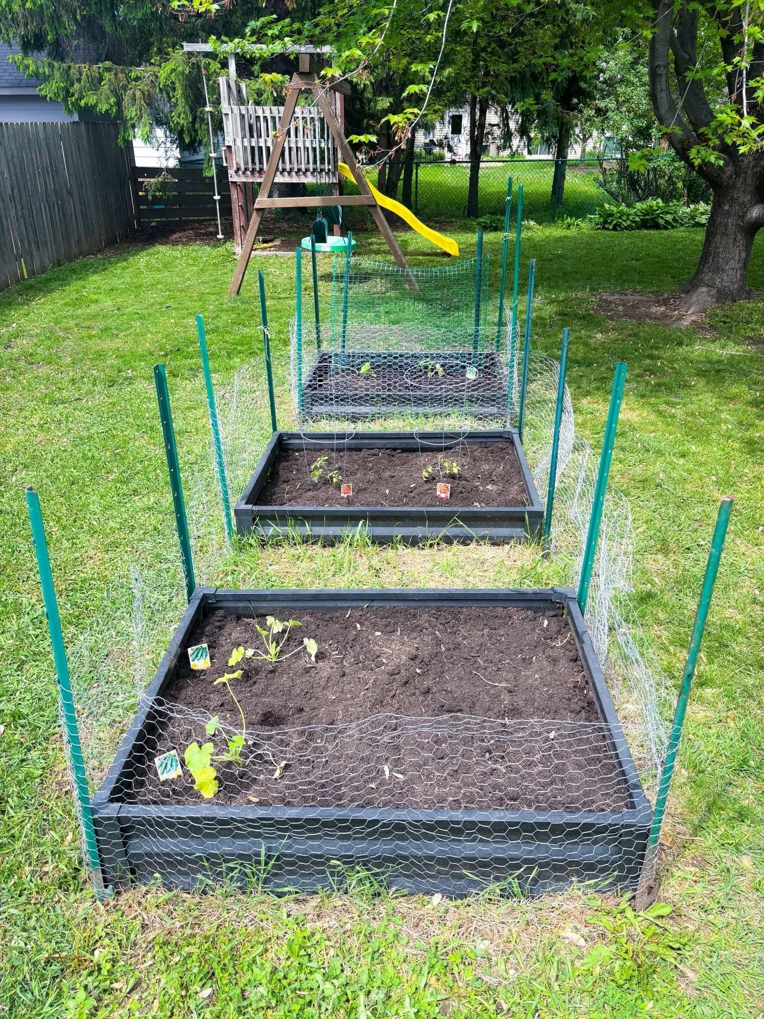 raised garden beds