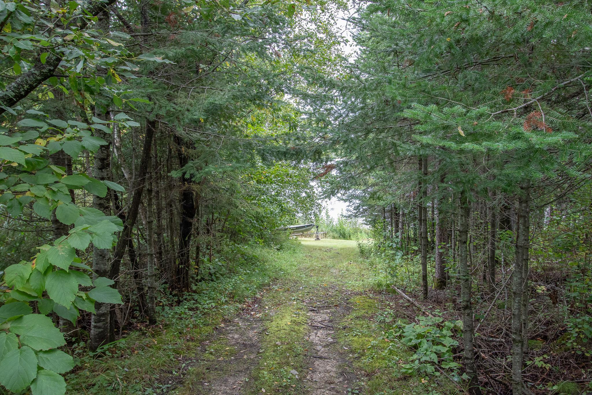 Beautiful Path to the Water