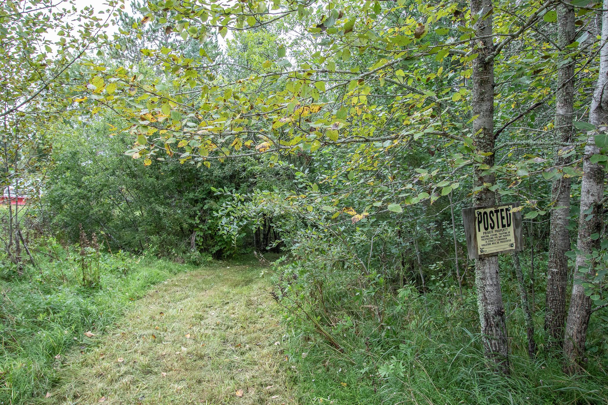 The Trail to the Lake