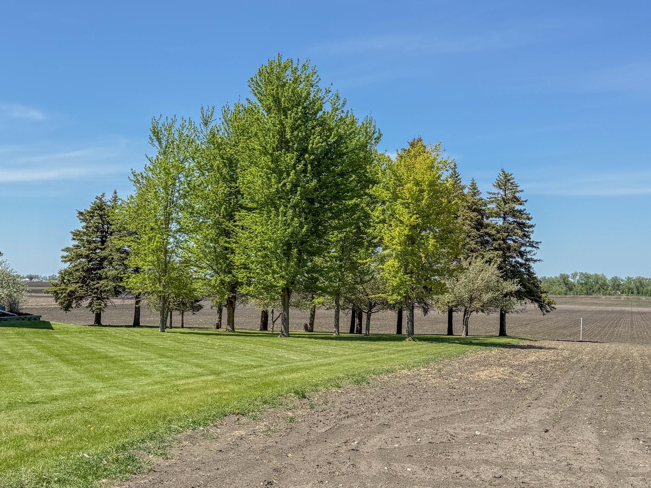 5 varieties of apple trees