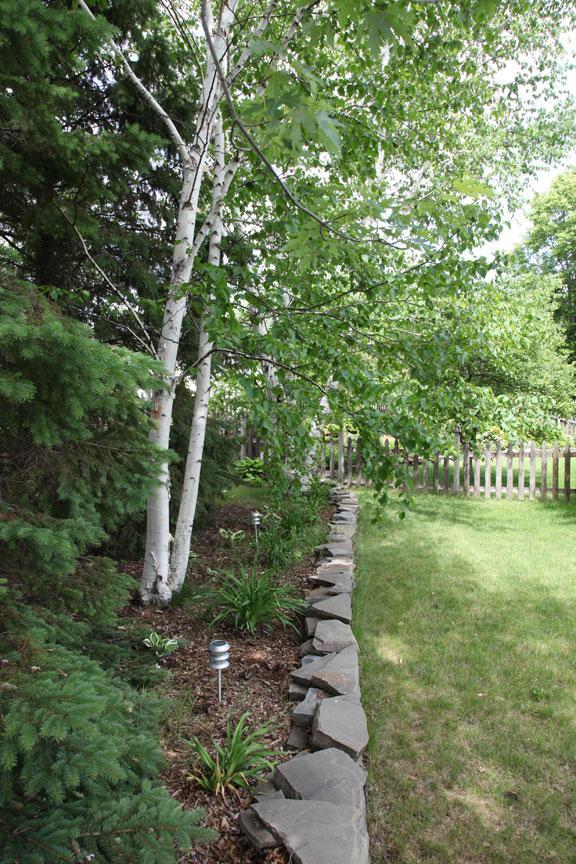 IMG_5512.jpeg
