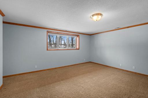 Lower level bedroom
