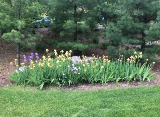 Tons of perennials and landscaping