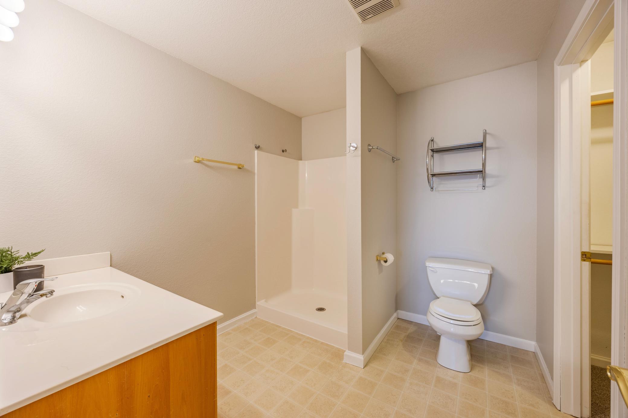 Primary walk-in shower, walk-in closet door on right of photo.