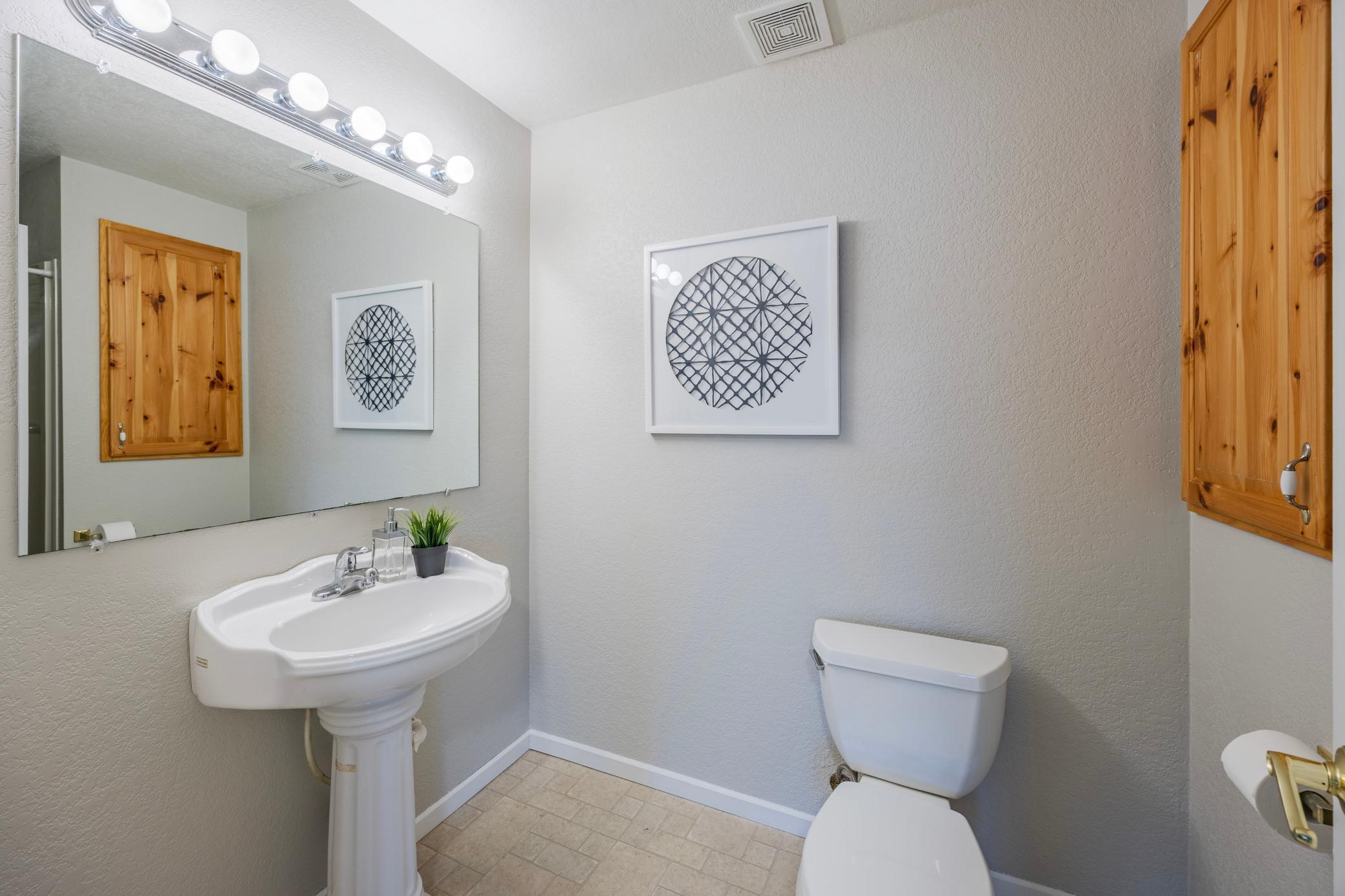 Lower level full bathroom.