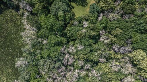 25xxx Itasca Avenue, Forest Lake, MN 55025