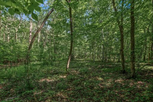 25xxx Itasca Avenue, Forest Lake, MN 55025