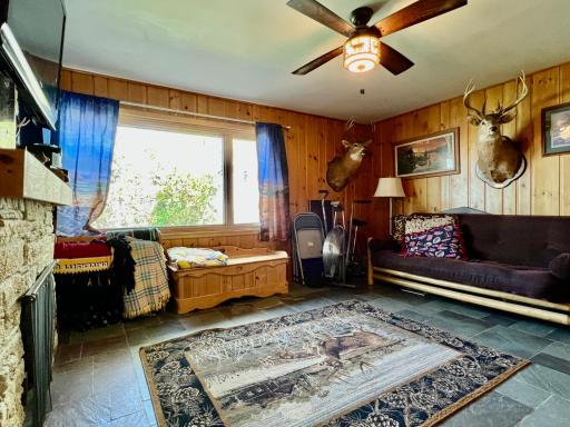 579 Park Avenue W, Ortonville, MN 56278